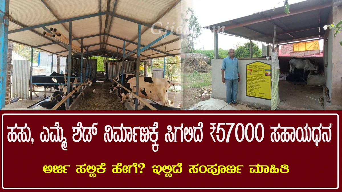 subsidy for construction of cattle shed under mgnrega scheme