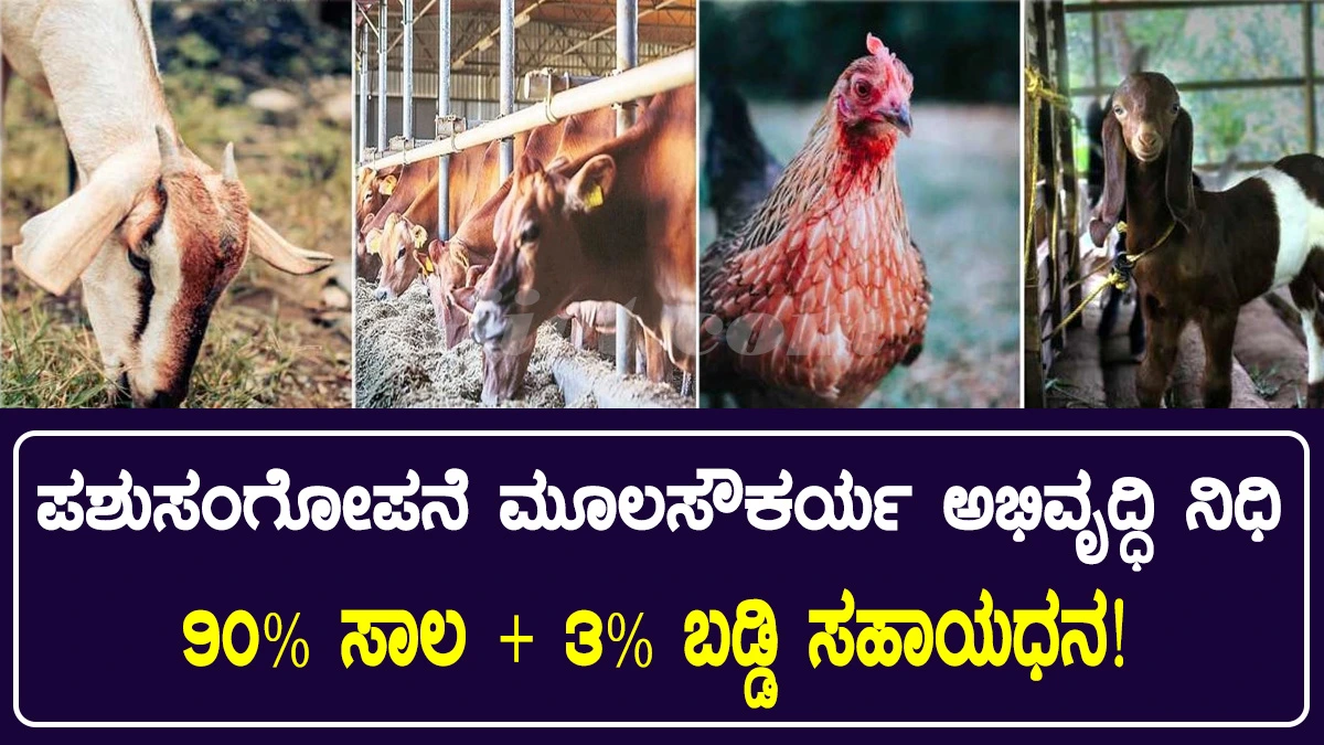 animal-husbandry-infrastructure-development-fund