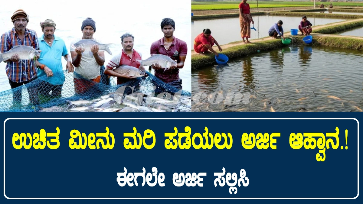 free fish distribution