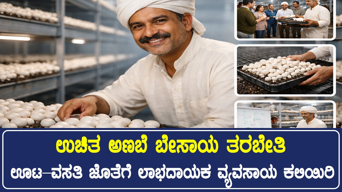 mushroom farming training camp
